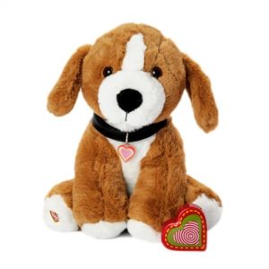 Hound Puppy